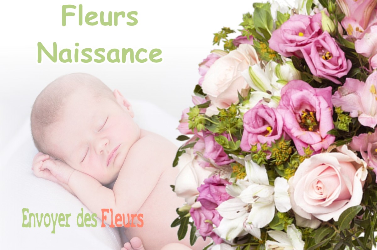 lIVRAISON FLEURS NAISSANCE à GRESSE-EN-VERCORS